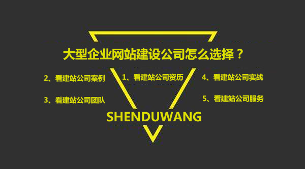 大型企業(yè)網(wǎng)站建設(shè)公司選擇要求